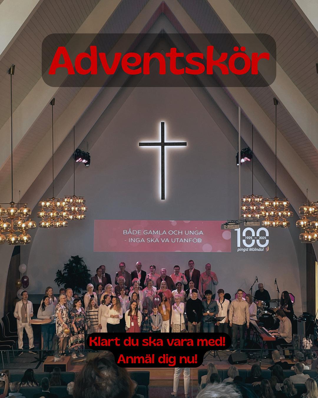 WhatsApp Image 2025-11-11 at 14.23.11